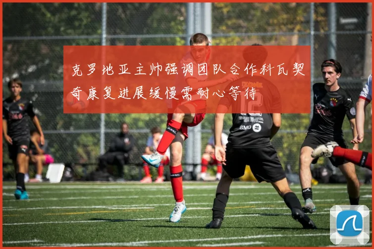 克罗地亚主帅强调团队合作科瓦契奇康复进展缓慢需耐心等待